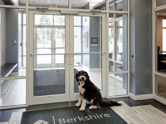 Pet Friendly Apartments in Quincy MA with Pet Park-HighPoint Apartments-12 Highpoint Circle Quincy, MA 02169, Large Pets Welcome