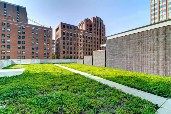 Eco-Friendly Green Roof at 805 N. Lasalle Drive, Chicago, IL 60610