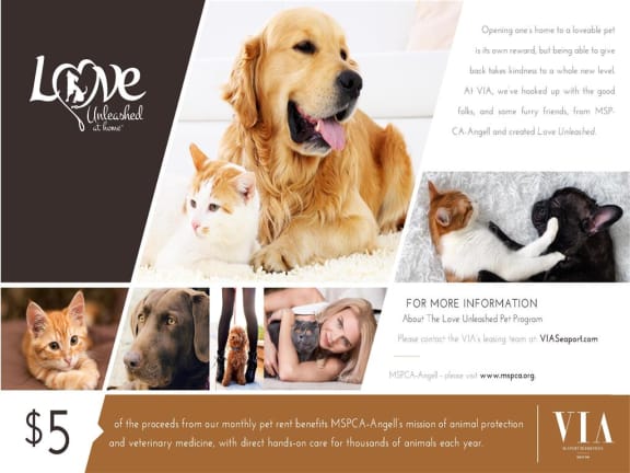 Love Unleashed at Via Seaport Residences, Boston, MA, 02210
