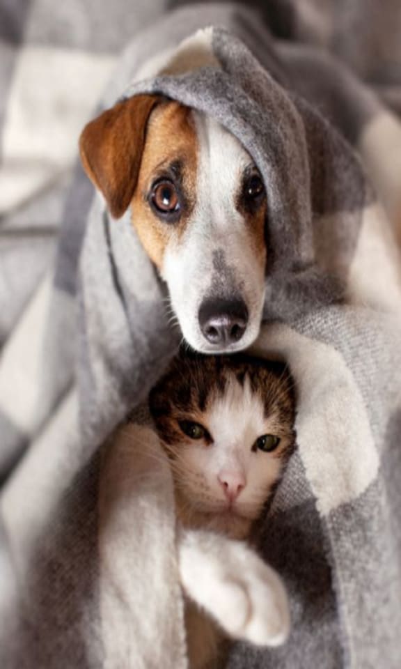 Apartment Amenities HighPoint Quincy, MA