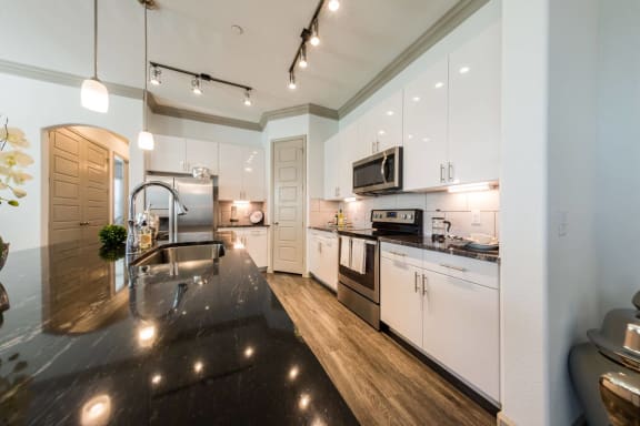 Granite Counter Tops In Kitchen at Mansions of Georgetown, Texas