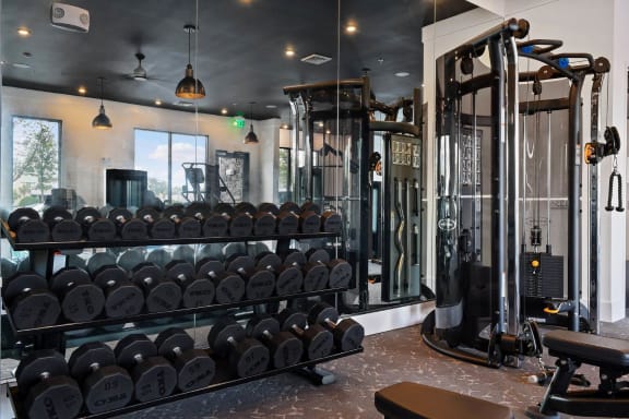 Fitness Center With Modern Equipment at Berkshire Winter Park, Florida, 32789