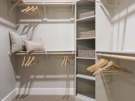 closet with custom shelving at Tinsley on the Park apartments