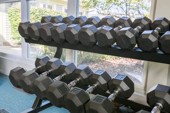Fitness Center free weights at Perimeter Lakes Apartments