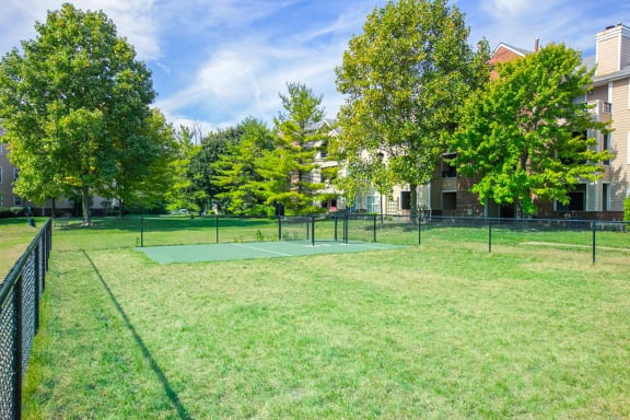 off-leash dog park