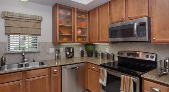 Chef's Kitchen at Estancia Townhomes, Texas