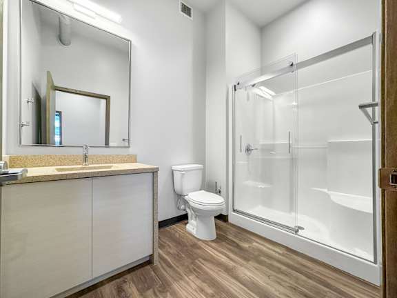 a bathroom with a shower toilet and a sink