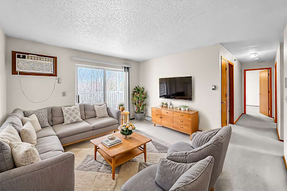 A living room with a grey couch, a wooden coffee table, and a television.