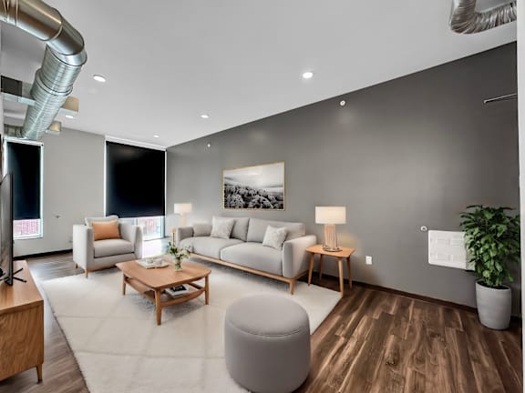a living room with grey walls and a white rug