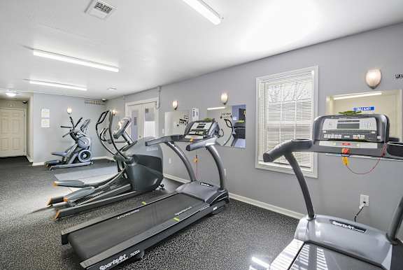 A gym with treadmills and elliptical machines.