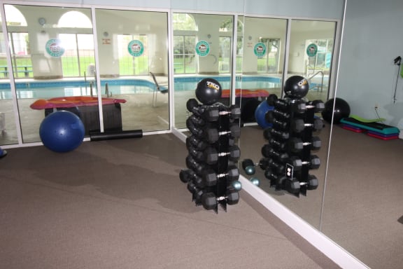 Weights