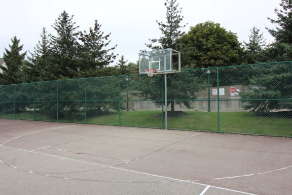 Basketball Court