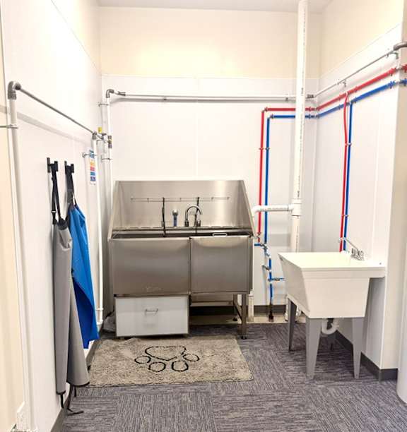 The Doggy Spa