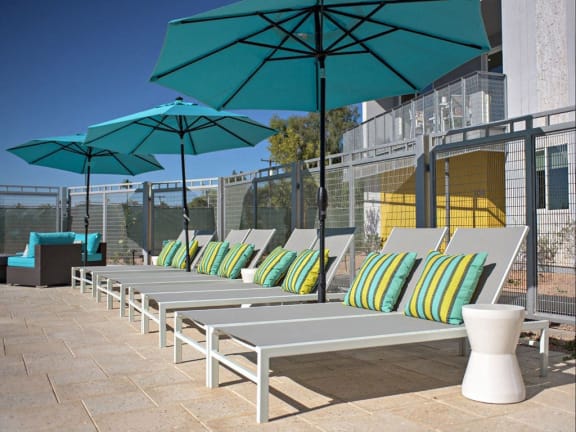 a row of lounge chairs with umbrellas on a patio at Novella Arcadia, Arizona, 85018
