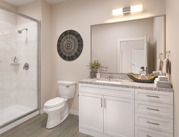a bathroom with a large mirror and a toilet and a shower