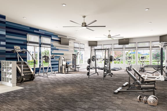 a large fitness room with cardio equipment and windows