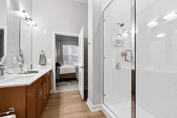 A bathroom with a walk-in shower and a sink.