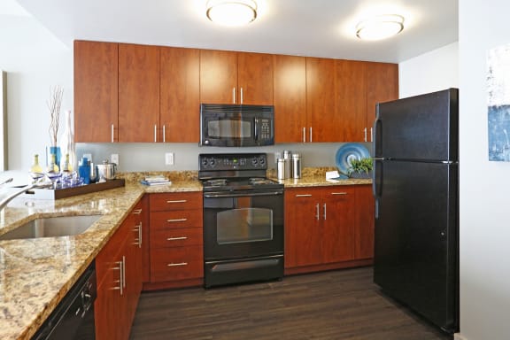 Efficient Appliances In Kitchen at The Zenith, Baltimore, MD, 21201