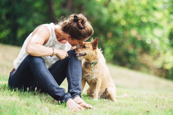 Pet Friendly Apartment Living at Meadows at Capitol Heights, Maryland