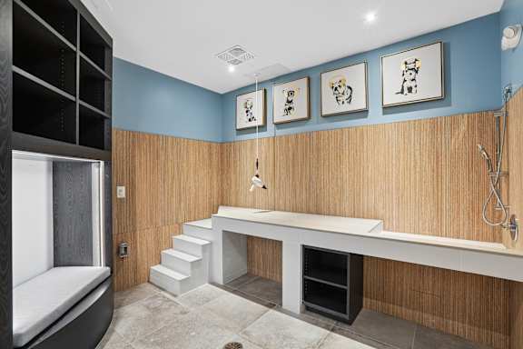 A bathroom with a blue wall and a white sink.