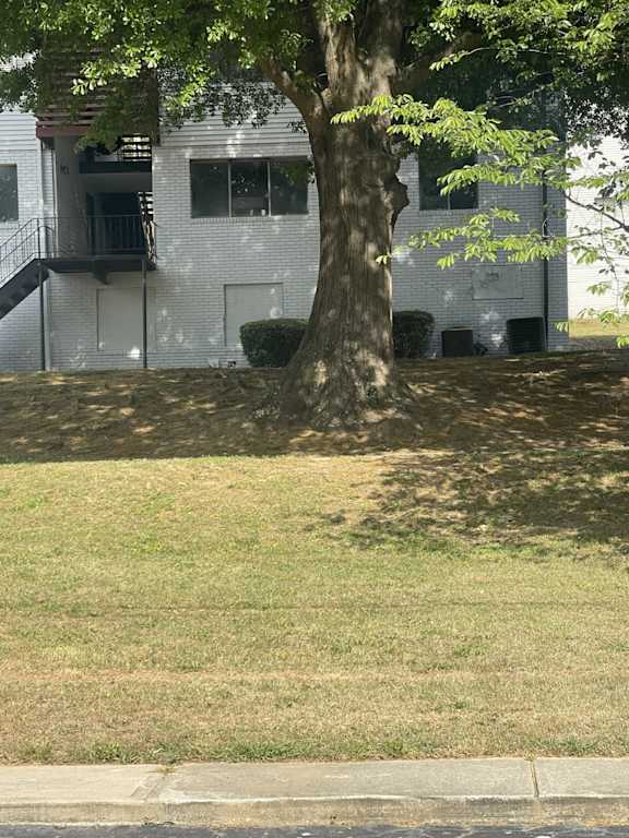 A tree in front of a white building.