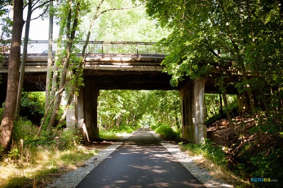 a bridge over a road with trees on both sides