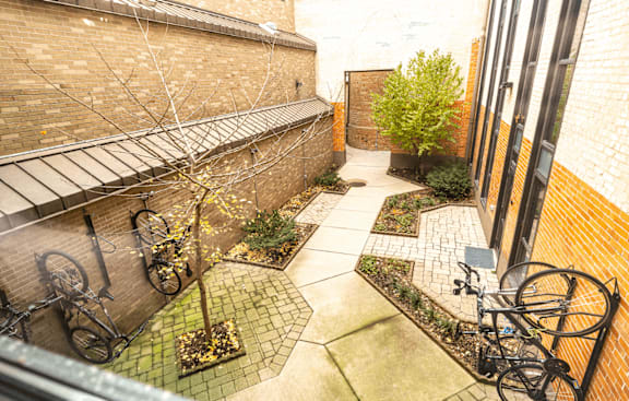 A small courtyard with a bicycle rack and a tree.