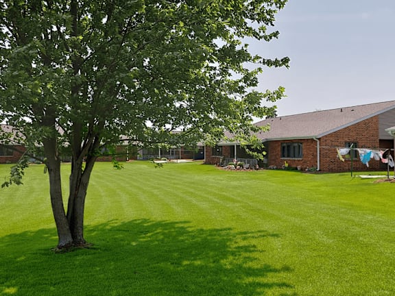 A tree stands in a yard in front of a house.