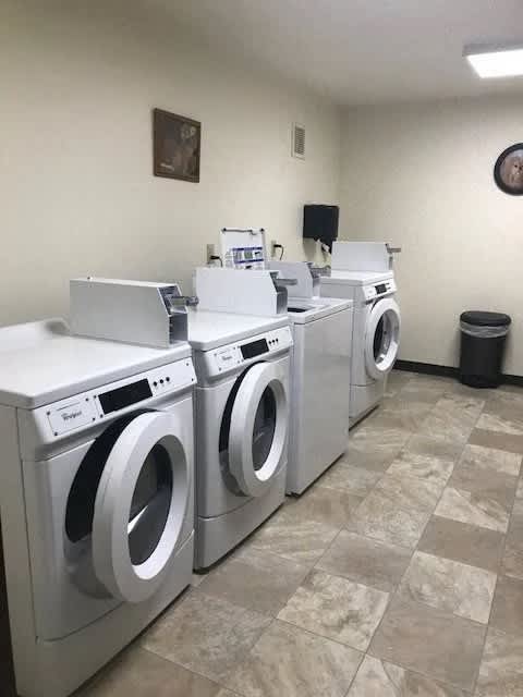 A row of front load washing machines in a laundromat.
