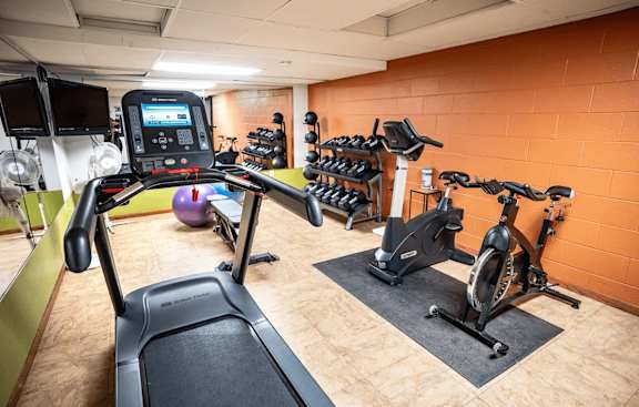 A gym with treadmills, exercise bikes, and other equipment.