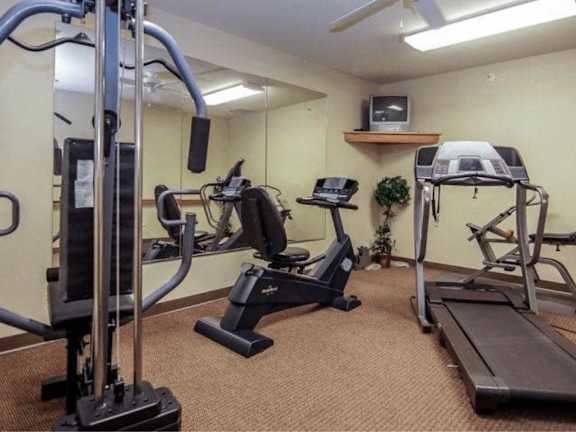 A gym with treadmills, elliptical machines, and a television.