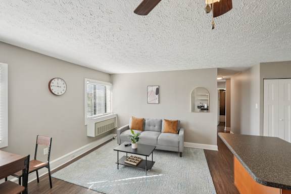 A living room with a grey couch and a blue rug.