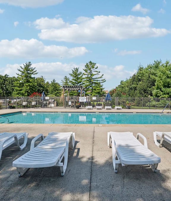 A pool surrounded by trees and sun loungers.