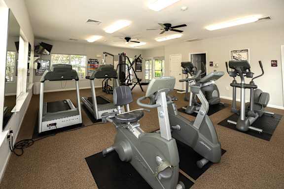 A gym with a variety of exercise equipment including treadmills, stationary bikes, and weight machines.
