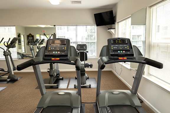 A gym with treadmills and elliptical machines.