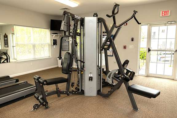 A gym with a treadmill, weights, and exercise equipment.