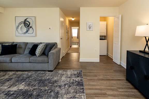 A living room with a grey couch and a rug.