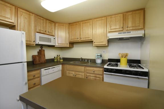 this is a photo of the kitchen in the 690 square foot 1 bedroom apartment at gateway