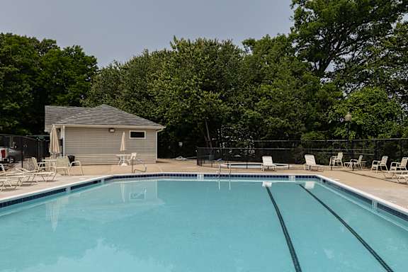 A swimming pool surrounded by trees and a small building.