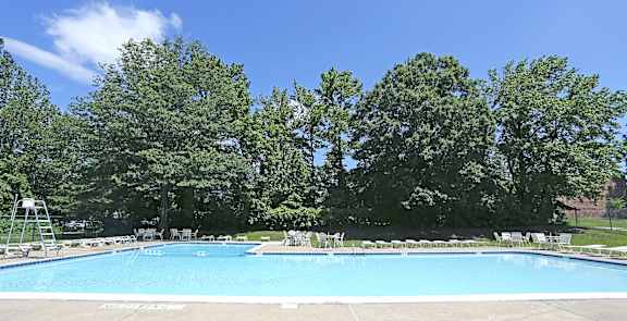 A large swimming pool surrounded by trees and lounge chairs.