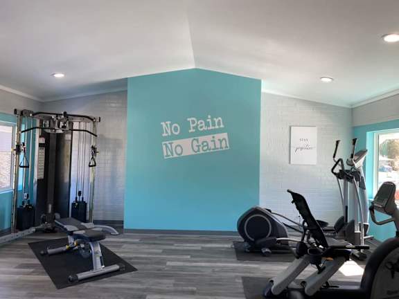no pain no gain gym
