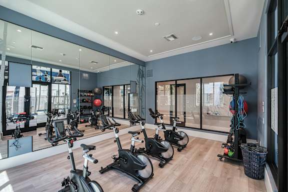 A gym with a row of stationary bikes and a mirror on the wall at Altis Santa Barbara, Florida
