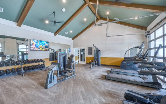 a gym with weights and cardio machines and a tv