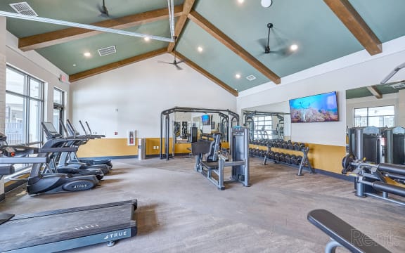a gym with weights and cardio machines and a tv