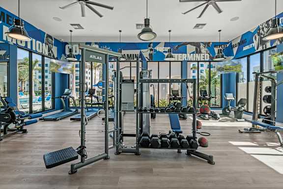 A gym with a variety of equipment including weights and a bench.