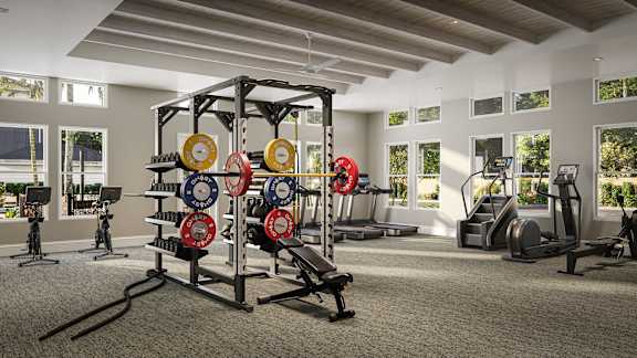 A gym with a squat rack, bench, and weights.
