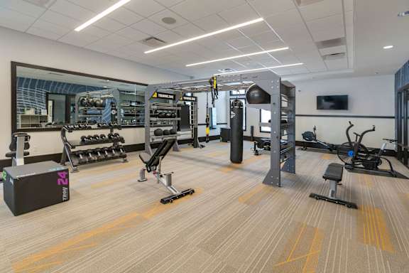 A gym with a variety of equipment including a squat rack, dumbbells, and a bench press.