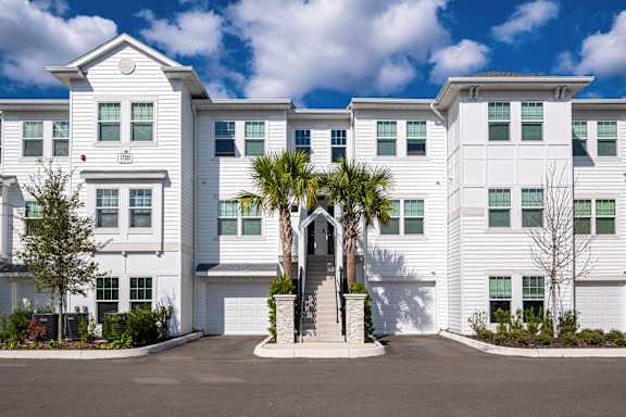 A white building with a palm tree in front.