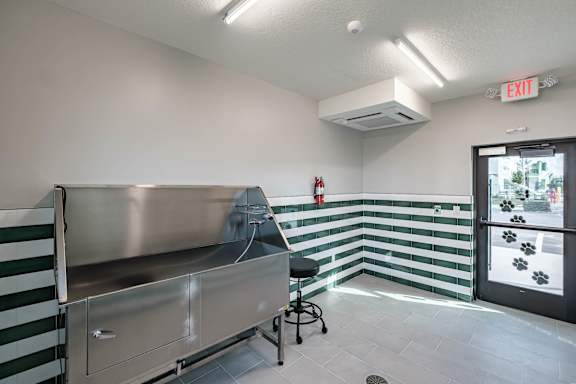 A room with a striped green and white wall and a stainless steel counter at Altis Santa Barbara, Florida