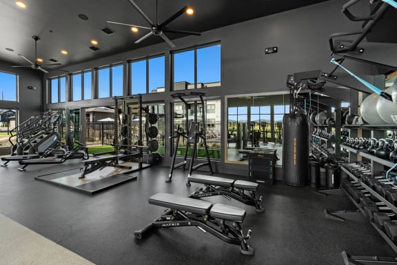 a gym with weights and a punching bag and windows